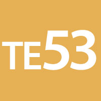 TE53