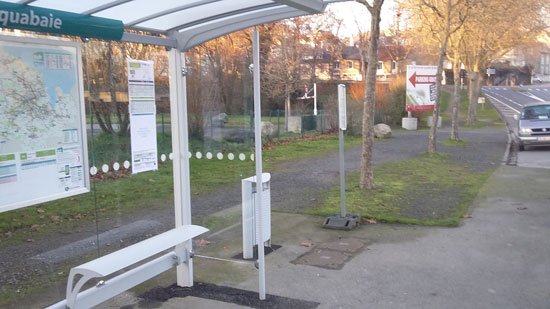 pplusbus